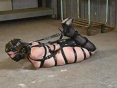 Leather Strap Hogtie With Muzzler